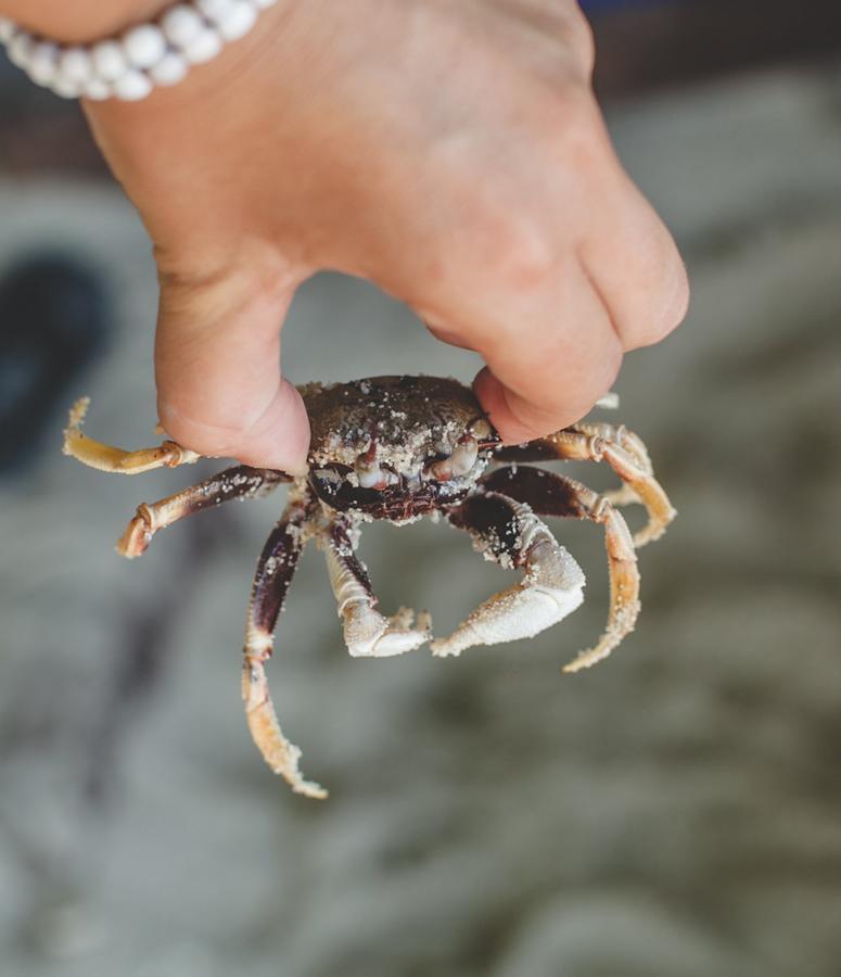 ホテル ベイビュー サンセット リペ島 エクステリア 写真